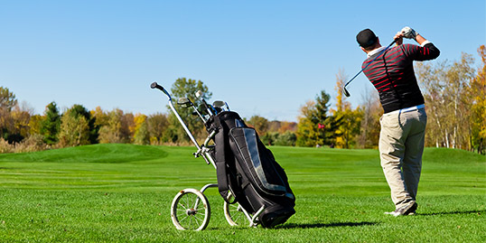 Individual Membership